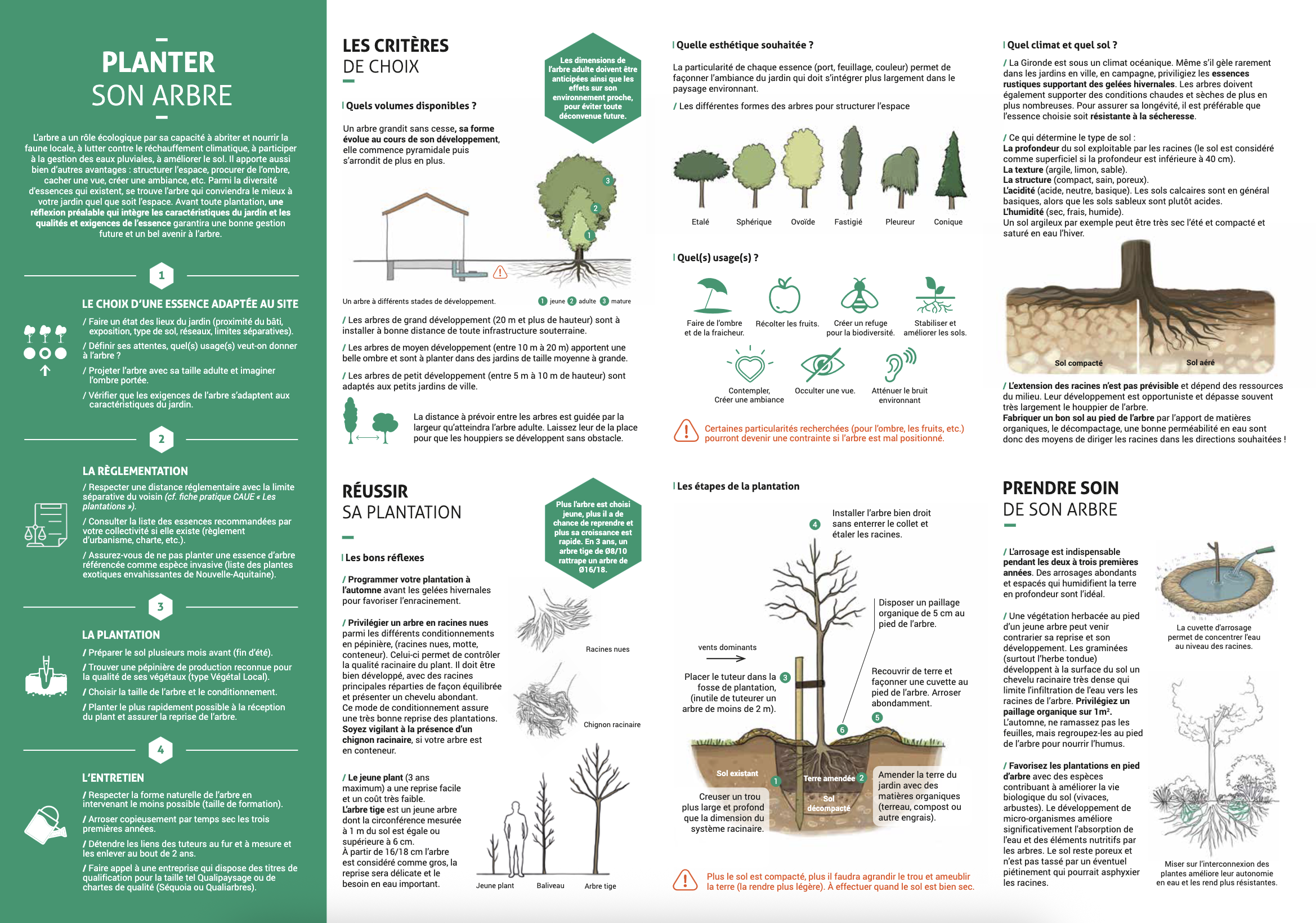 Fiche Planter son arbre