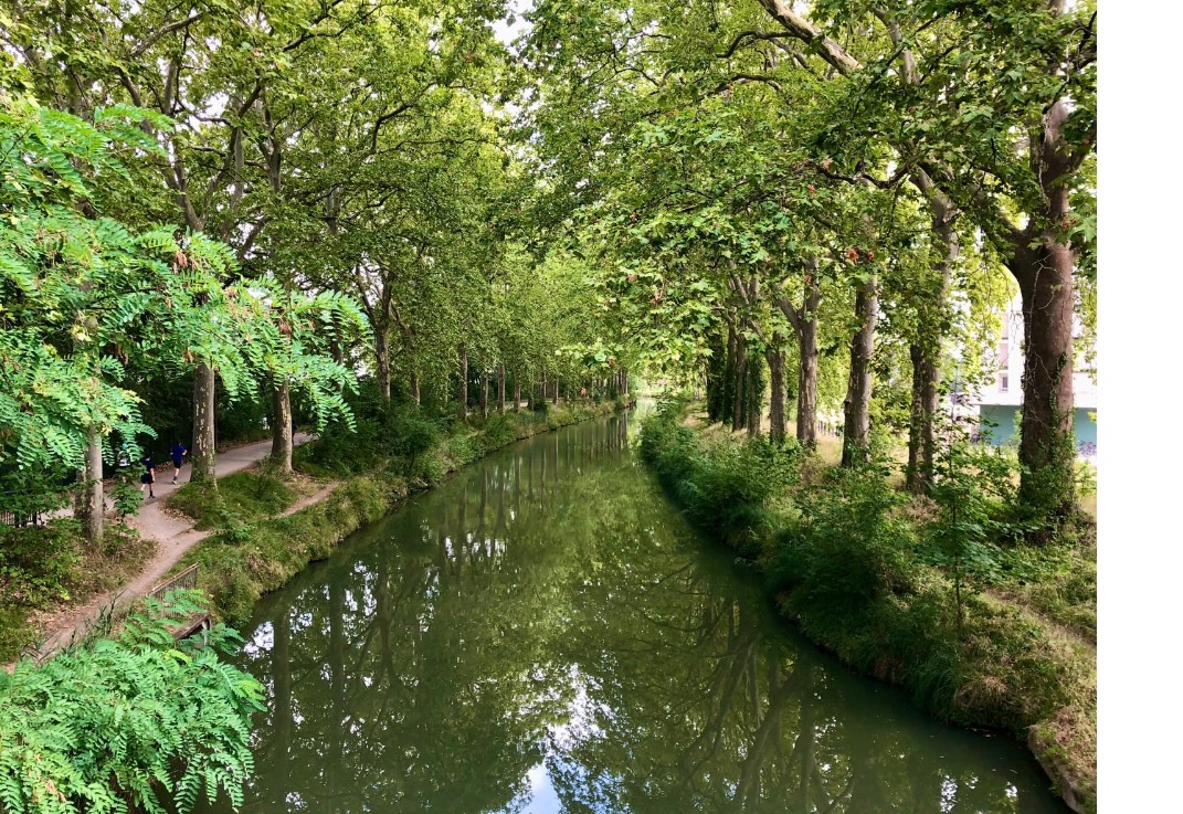 Vue du canal