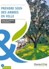 Prendre soin des arbres en ville 