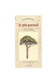 Le pin parasol