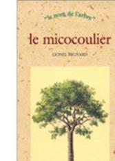 Le micocoulier