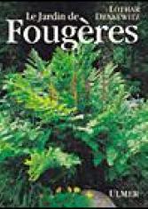 Le jardin de fougères