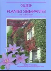 Guide des plantes grimpantes