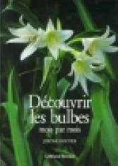 Découvrir les bulbes mois par mois