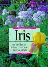 Iris : les meilleures espèces et variétés pour le jardin