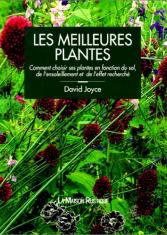 Les meilleures plantes : comment choisir ses plantes en fonction du sol, de l'ensoleillement et de l'effet recherché