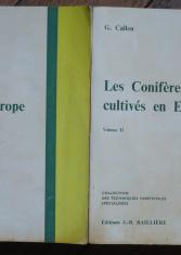 Les conifères cultivés en Europe (Volume 1)