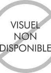L'oeil et la lettre : 
