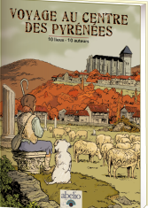 Voyage au centre des Pyrénées. 10 lieux - 11 auteurs