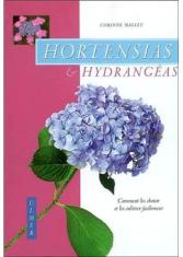 Hortensias et hydrangéas