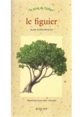 Le figuier