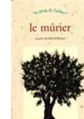 Le Mûrier