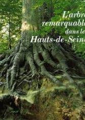 L'arbre remarquable dans les Hauts-de-Seine