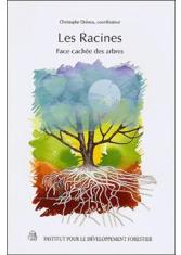 Les racines : face cachée des arbres