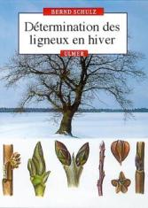 Détermination des ligneux en hivers