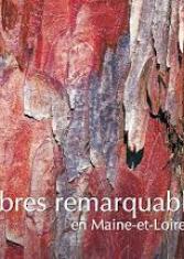 Arbres remarquables en Maine-et-Loire