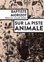 Sur la piste animale