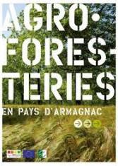 Agroforesteries en Pays d'Armagnac