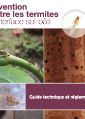 Prévention contre les termites à l'interface sol-bâti