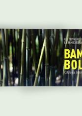 Bambou