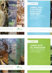L'arbre et la diversité des paysages