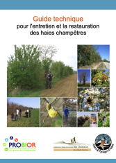 Guide technique pour l'entretien et la restauration de haies champêtres