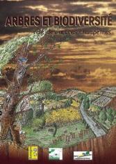 Arbres et biodiversité : rôle des arbres champetres