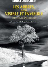 Les arbres entre visible et invisible