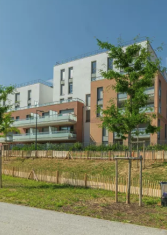 Passeurs de mémoire, du CEAT au quartier Guillaumet