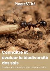 Connaître et évaluer la biodiversité des sols