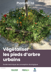  Végétaliser les pieds d'arbre urbains