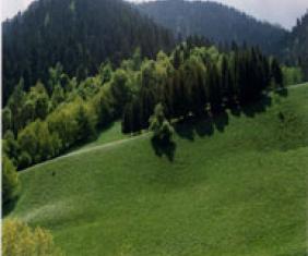 Pyrénées garonnaises
