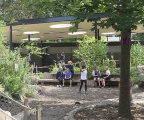 Guide - Les cours d'école en transition