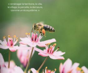 Favoriser le vivant sur son terrain