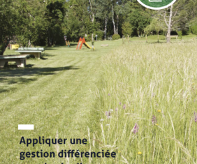 Appliquer une gestion différenciée pour les jardins et les espaces publics