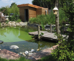 Bassins de baignade naturelle