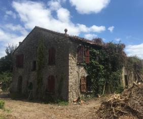 Friche - Maisons de village commingeoises