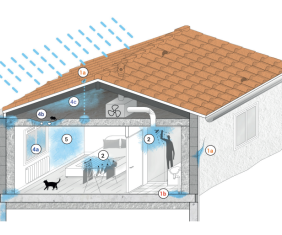 L'excès d'humidité dans l'habitat