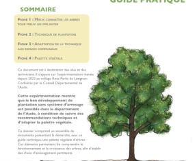 Adapter nos techniques de plantation pour faire face au changement climatique