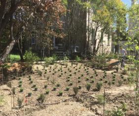 Réaliser son jardin