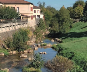 Des solutions fondées sur la nature pour une "ville verte"