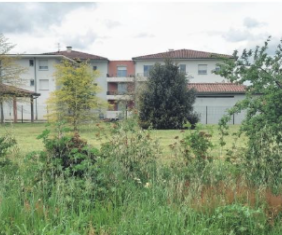 Constituer une trame verte verte en milieu urbanisé