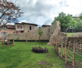 La végétalisation comme stratégie