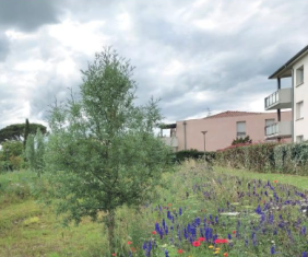 Une gestion alternative de l'eau pluviale pour les espaces publics renouvelés