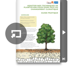 Adapter nos techniques de plantation pour faire face au changement climatique