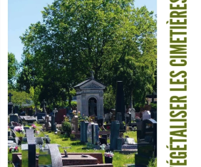 Végétaliser les cimetières