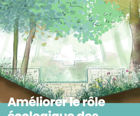 Améliorer le rôle écologique des noues végétalisées