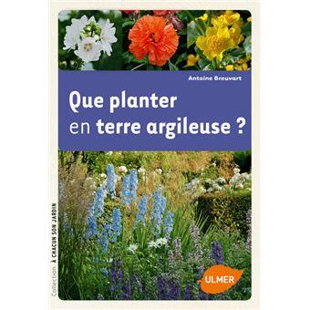 plantes_argile.jpeg