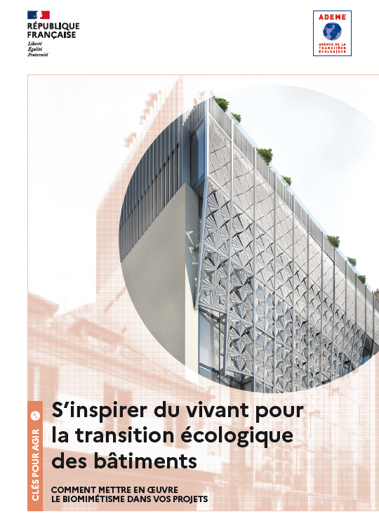 biomimetisme.png