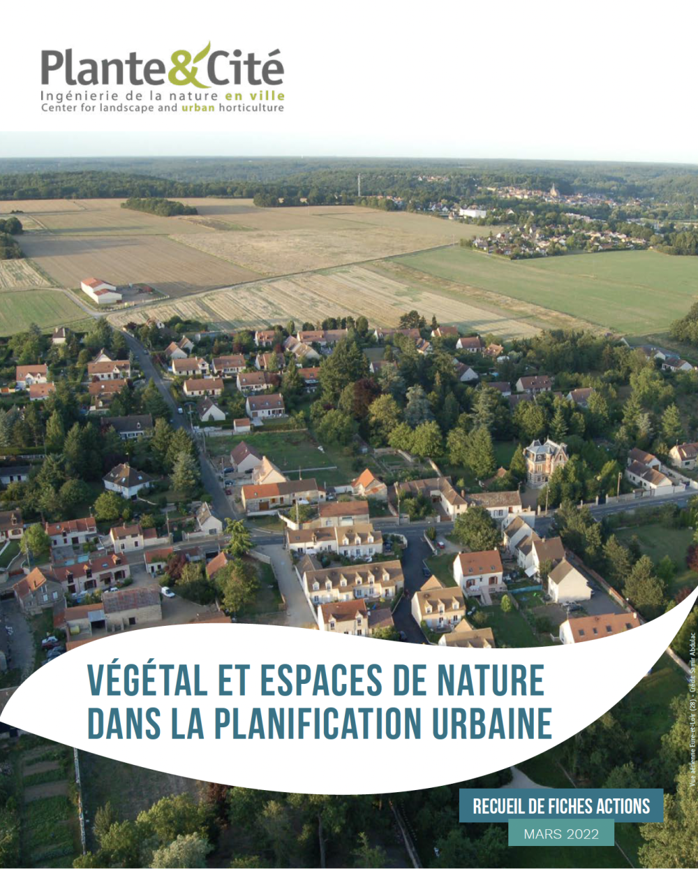 vegetal-et-planification-urbaine.png